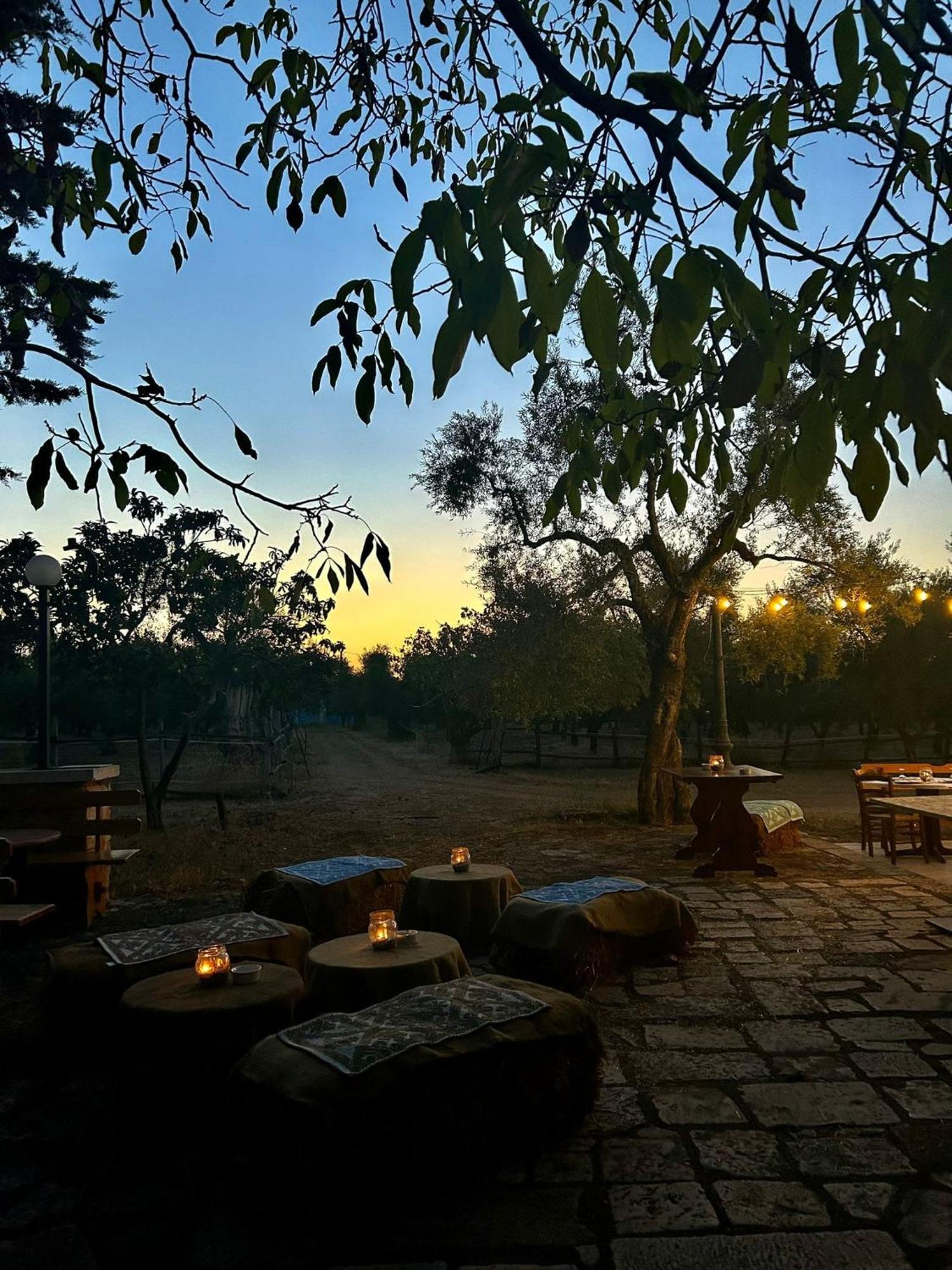 Vila Agriturismo Armienti Toritto Exteriér fotografie
