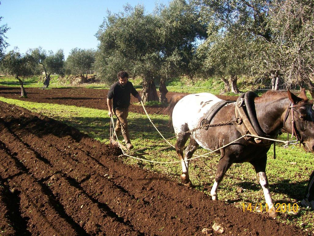 Vila Agriturismo Armienti Toritto Exteriér fotografie